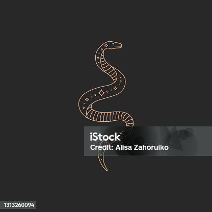 istock Magic snake logo, gold simple contour line, boho style 1313260094