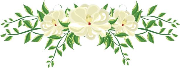 Magnolia Floral Arrangement vector art illustration