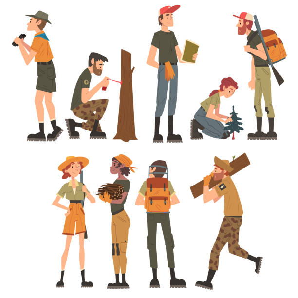 男性和女性森林護林員在森林集工作, 國家公園服務員工角色在統一卡通風格向量插圖 - rangers 幅插畫檔、美工圖案、卡通及圖標