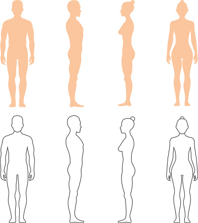 Male and female human vector silhouettes. Man and woman bodies illustration