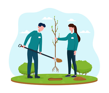 Male and female volunteers planting green trees
