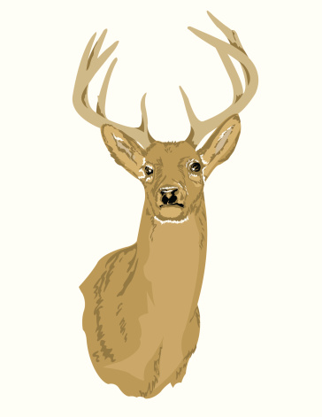 Male Deer Head, Sketchy Style