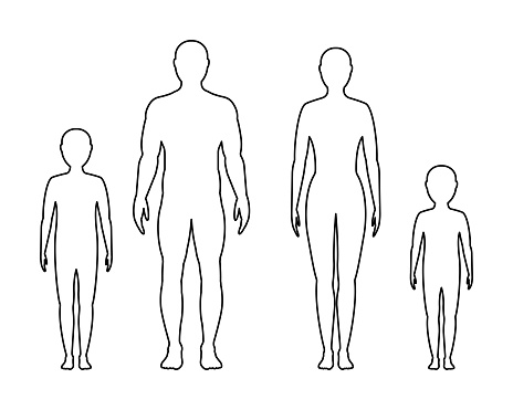 Male, female and children's contour on white background, vector. family.