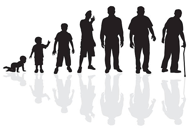 Male Life Cycle Silhouette Male Life Cycle Silhouette (showing aging) growth silhouettes stock illustrations