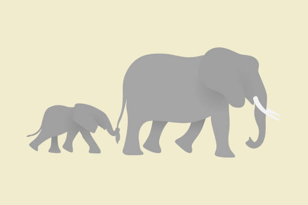 Mama elephant walking with baby together on beige background. Modern vector in simple flat style. Happy Mothers day concept. Family of grey elephants. Save wildlife Mama elephant walking with baby together on beige background. Modern vector in simple flat style. Happy Mothers day concept. Family of grey elephants. Save wildlife elephant stock illustrations