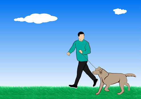 Man and dog walking on grass outdoor vector illustration