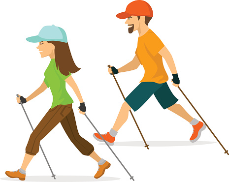 man and woman nordic walking, exercising  isolated vector illustration