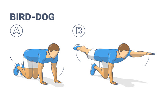 Man doing bird dog exercise to train his core guidance. Male workout position for abs illustration