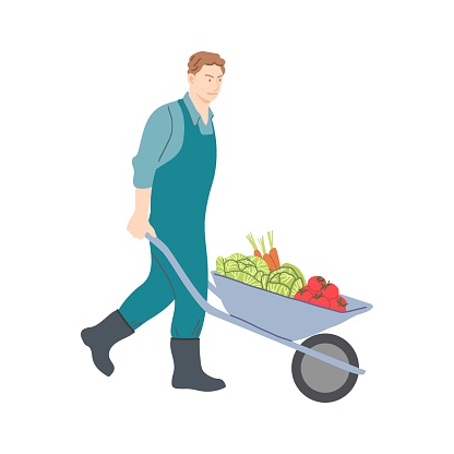 Man farmer with fresh vegetables. Vector hand drawn illustration in cartoon flat style. Isolated on white background.