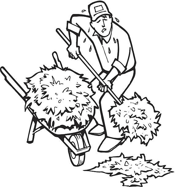 ilustraciones, imágenes clip art, dibujos animados e iconos de stock de hombre carretilla mulch - mulch
