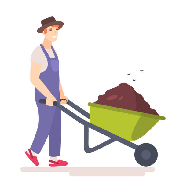 Man with wheelbarrow full of dirt or ground. Man with wheelbarrow full of dirt or ground. Flies hover above the garden wheel barrow with manure. Gardener carries a wheelbarrow with organic fertilizers. Flat vector illustration. mulch stock illustrations