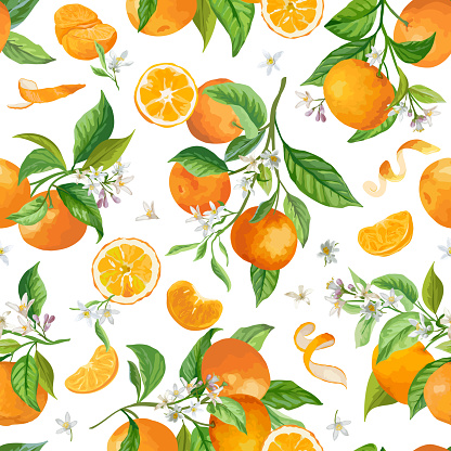 Mandarin Floral Pattern, Vector Seamless Fruit Background, Citrus Fruits, Flowers, Leaves, Limes Branches Texture. Watercolor Style Lemons. Vintage Lemon Design for Print, Wedding, Backdrop, Wallpaper