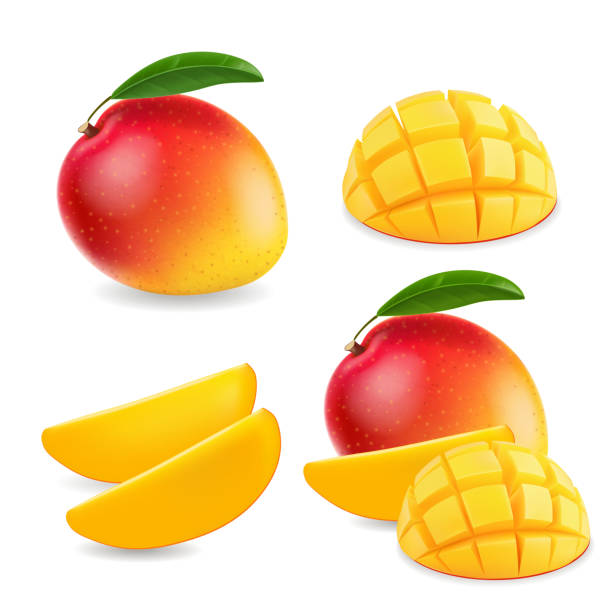 mango-realistische frucht ganz und stücke illustration - mango stock-grafiken, -clipart, -cartoons und -symbole