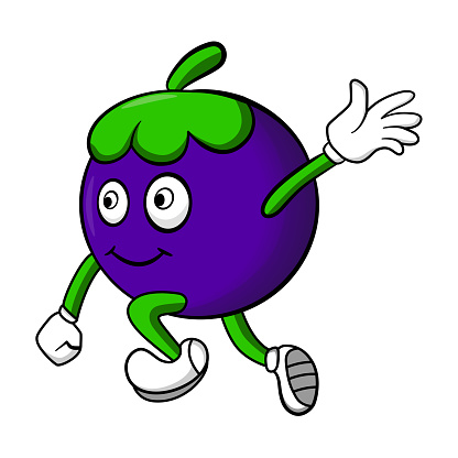 Mangosteen fruit cartoon mascot illustration