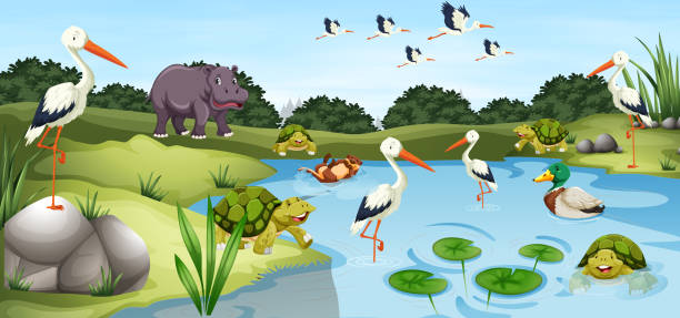 Many wild animals in the pond illustration