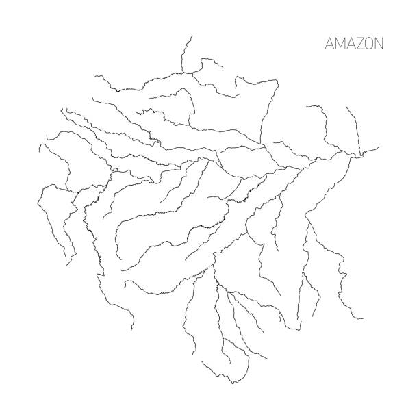 ilustrações, clipart, desenhos animados e ícones de mapa da bacia da drenagem do rio de amazon. ilustração fina simples do vetor do esboço - amazonia