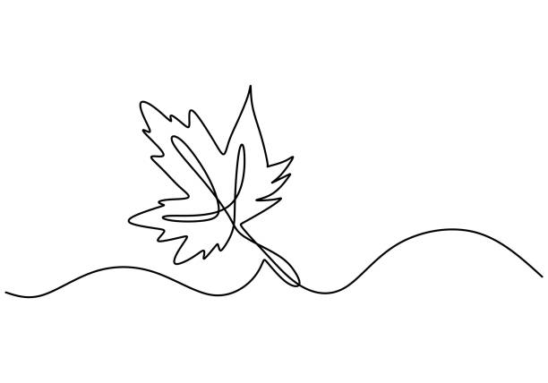 Maple leaf line art. One continuous line drawing abstract tropic spring isolated vector object on white background. Botany natural eco concept. Autumn leaves hand drawn design minimalism style Maple leaf line art. One continuous line drawing abstract tropic spring isolated vector object on white background. Botany natural eco concept. Autumn leaves hand drawn design minimalism style autumn drawings stock illustrations