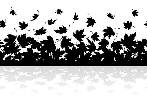 Maple leaves. Autumn background template with flying and falling leaves. Autumn leaf border. Black silhouette with mirror reflection. Seamless pattern. Isolated. Vector illustration