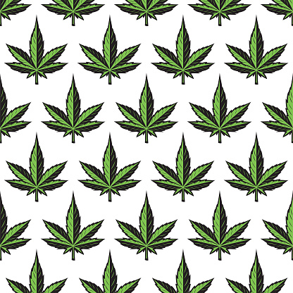 Marijuana leaf background. Marijuana leaf drawing seamless tiled vector stock illustration