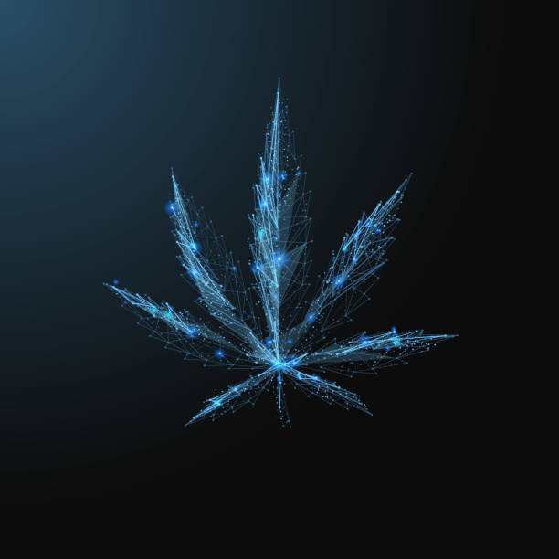 marijuana leaf low poly vector art illustration