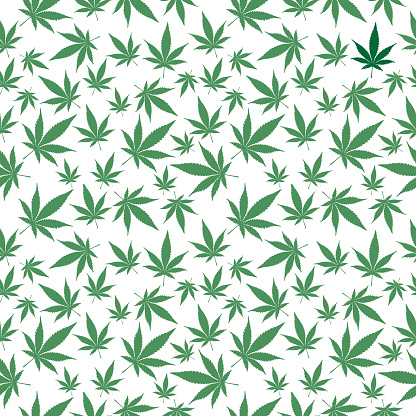 Marijuana Leaves Seamless Pattern