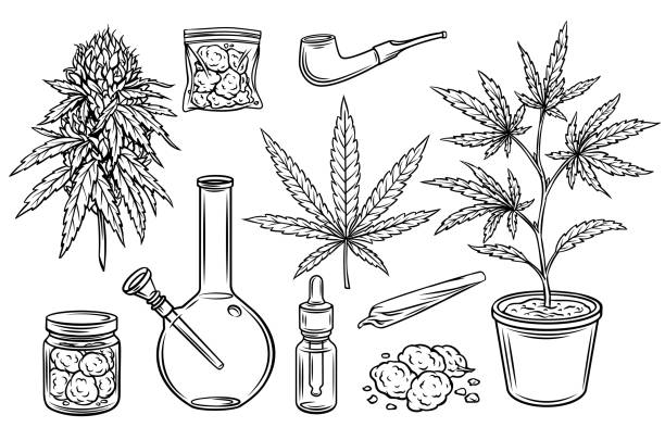 illustrations, cliparts, dessins animés et icônes de ensemble d’icônes de contour de marijuana - hand draw jar