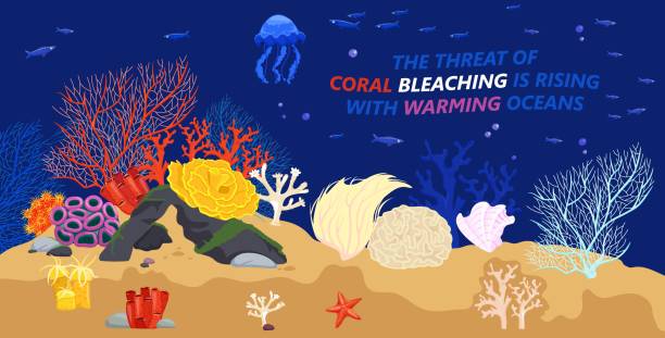 проблемы морской жизни - great barrier reef stock illustrations