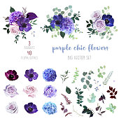 Marvelous violet, purple and burgundy anemone, dusty mauve and lilac rose, hydrangea, astilbe,eucalyptus big vector design set. Stylish fall wedding bunch of flowers.Elements are isolated and editable