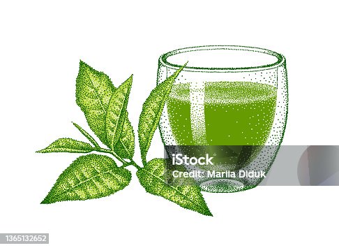 istock Matcha green tea in glass double wall cup. Leaves of green tea. Illustration in vintage style, pointillism. Hand-drawn engraved vector sketch. 1365132652