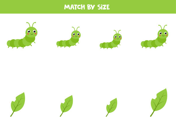 ilustrações de stock, clip art, desenhos animados e ícones de matching game for preschool kids. match caterpillars and leaves by size. - social media