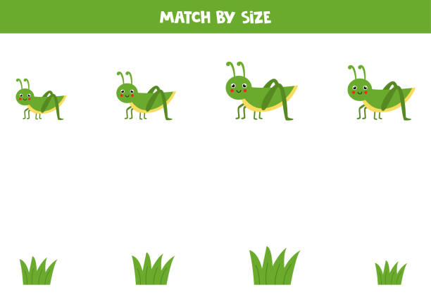 ilustrações de stock, clip art, desenhos animados e ícones de matching game for preschool kids. match grasshopper and grass by size. - social media
