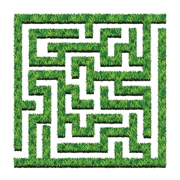 Maze of green bushes, labyrinth garden. Vector illustration. Isolated Maze of green bushes, labyrinth garden. Vector illustration. Isolated on white background maze borders stock illustrations