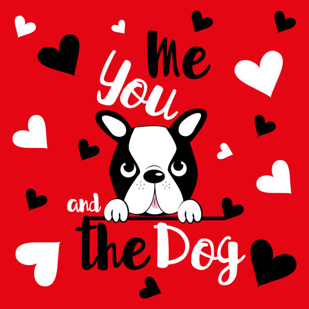 Me, you and the dog - funny saying text, and Boston Terrier with herats, on red background. Me, you and the dog - funny saying text, and Boston Terrier with herats, on red background. Perfect for posters, greeting cards, textiles, and gifts. happy valentines day dog stock illustrations