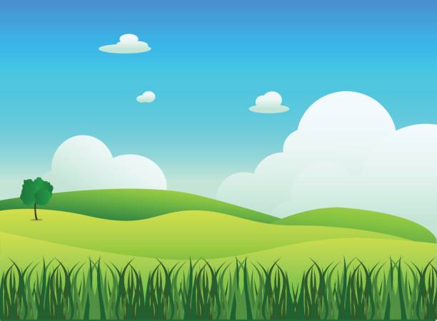 bildbanksillustrationer, clip art samt tecknat material och ikoner med ängen landskap med gräs förgrunden, vektorillustration. grönt fält och himlen är blå med vita moln bakgrund - earth green background