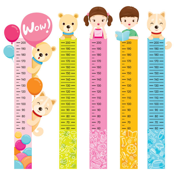Measured Height Set With Girl, Boy, Dog And Bear Tall, Healthy, Care, People, Lifestyle tall boy stock illustrations