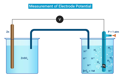 Measurement of Electrode Potential