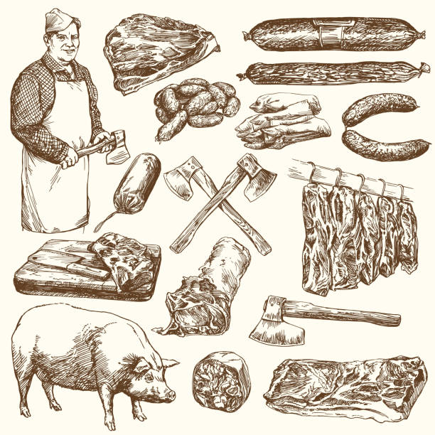 Meat, butcher. Meat, butcher. Hand drawn vector illustration pig drawings stock illustrations