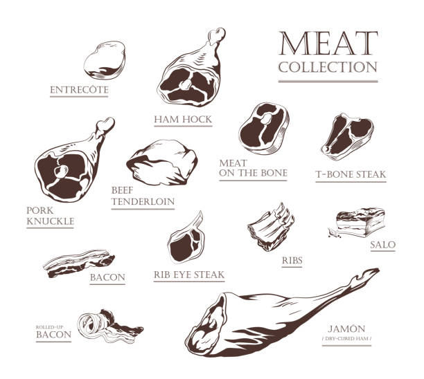 illustrazioni stock, clip art, cartoni animati e icone di tendenza di collezione carne grande set - fiorentina