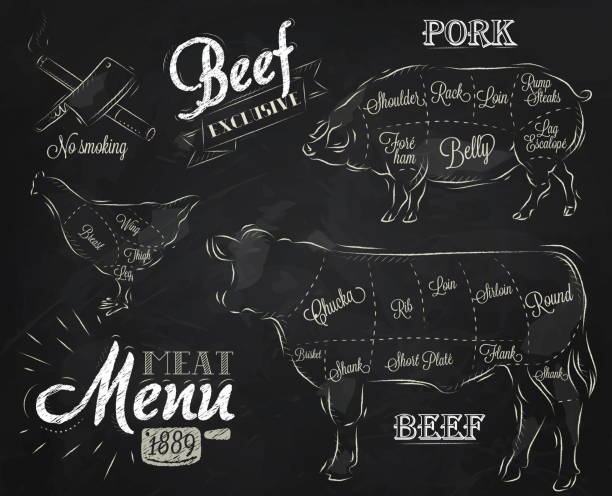 Meat Menu chalk Chalk Illustration of a vintage graphic element on the menu for meat steak cow pig chicken divided into pieces of meat cutting stock illustrations