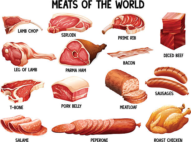 Meat of the world Different kind of meats in the world meat loaf stock illustrations