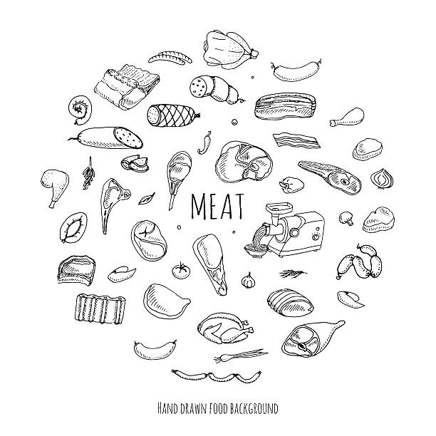 Meat set Hand drawn doodle set of cartoon different kind of meat and poultry Meat set Vector illustration Sketchy meat elements collection Lamb Pork Ham Mince Chicken Steak Bacon Sausage Salami Delicatessen meat loaf stock illustrations