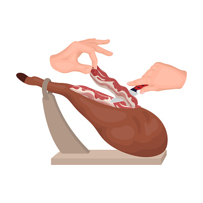 meat single icon in cartoon style.Meat vector symbol stock illustration web.