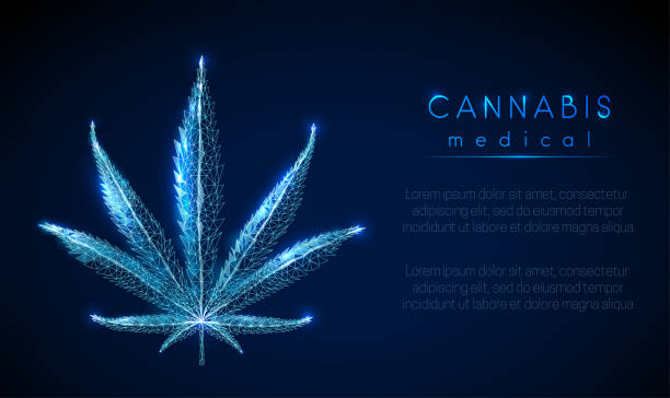 Medical cannabis. Marihuana leaf. Low poly style design. vector art illustration