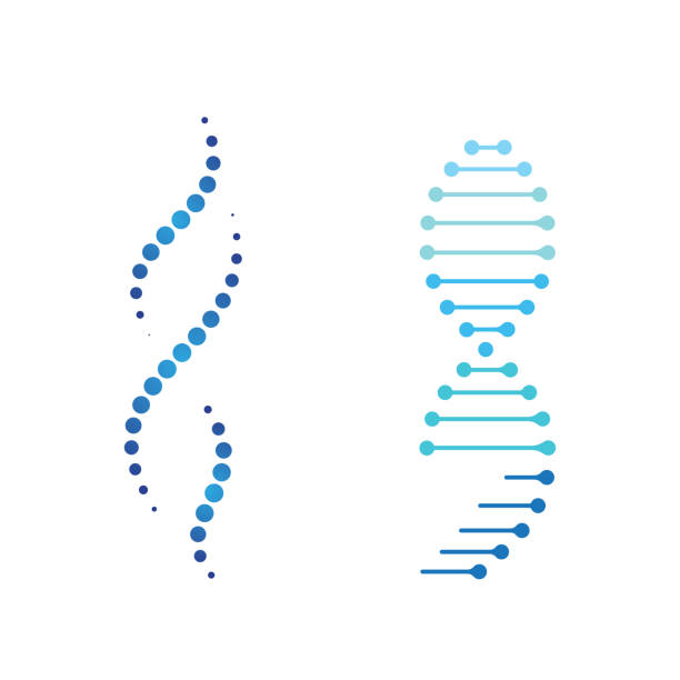 Medical DNA Vector icon design illustration Medical DNA Vector icon design illustration Template dna symbols stock illustrations