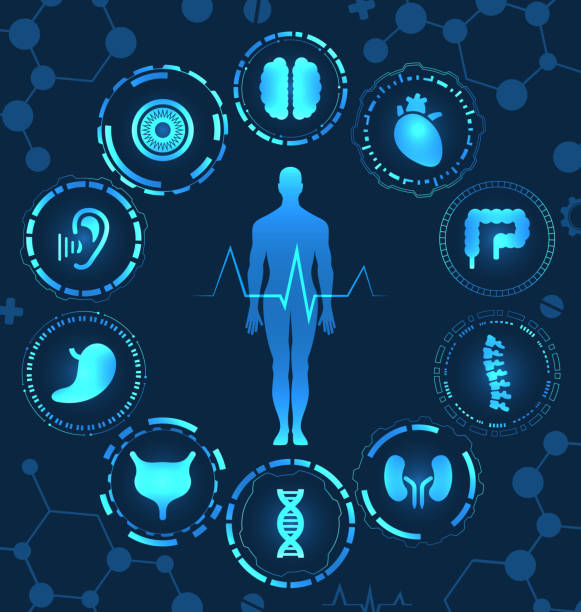 Medical Health Care, Human Organs, Virtual Body Hi Tech Diagnostic Panel vector art illustration