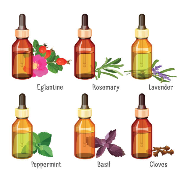 ilustrações de stock, clip art, desenhos animados e ícones de medical natural oils of wild herbs in bottles - sniffing glass