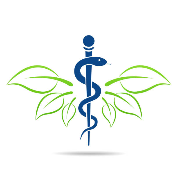 Medical symbol created using snakes and green leaves, Caduceus symbol. Healthy lifestyle is strong heart, vector abstract illustration  caduceus stock illustrations