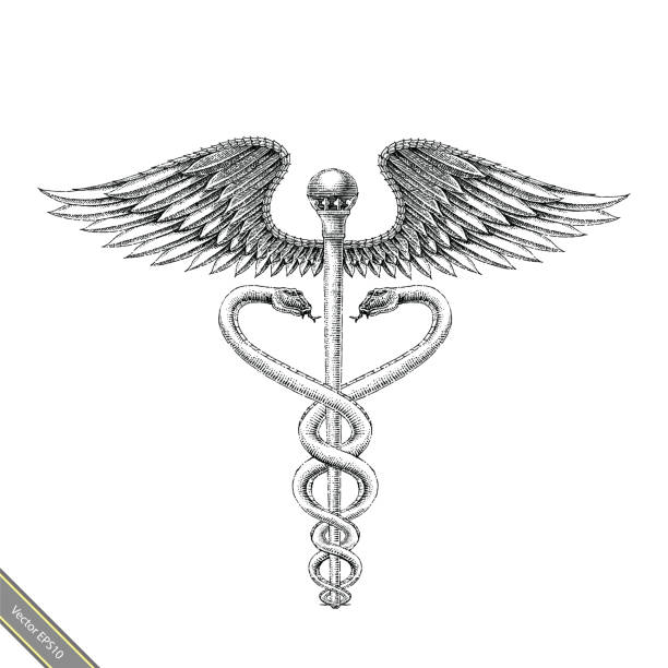 Medical symbol hand drawing vintage style.Aesculapius hand drawing engraving style black and white symbol  caduceus stock illustrations