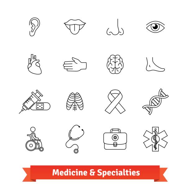 Medicine and medical specialties. Icons set Medicine and medical specialties. Thin line art icons set. Human organs, diagnostic equipment, ambulance. Linear style symbols isolated on white. human limb stock illustrations