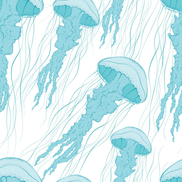 illustrazioni stock, clip art, cartoni animati e icone di tendenza di meduza_1 - meduza